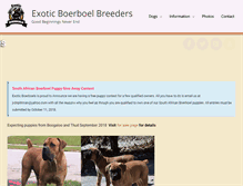 Tablet Screenshot of boerboelpuppy.com